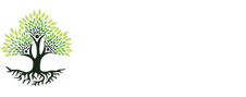 Elmur Community Services | Disability Support & Aged Care | Canning Vale | NDIS Registered Provider