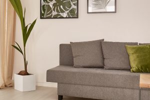 View of sofa in a specialist disability accommodation (SDA) home. Grey couch with green cushions, wall art and decorative plant.